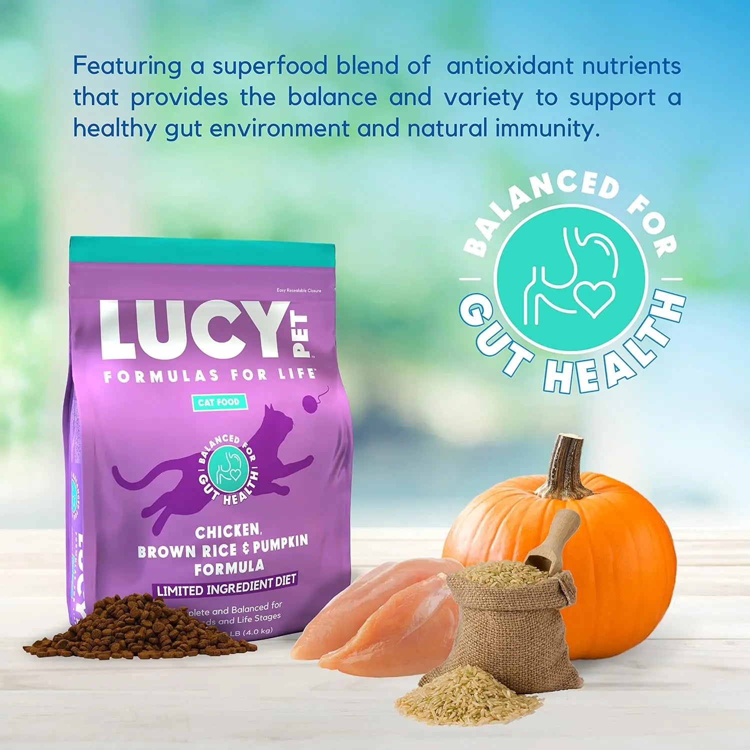 Lucy Pet Products Chicken, Brown Rice & Pumpkin Limited Ingredient Diet Cat Food Lucy Pet Products