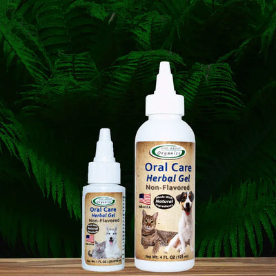 Two bottles of Mad About Organics Herbal Gel for Pet Oral Care are shown amid green ferns. Both labels feature a dog and cat. Made with natural ingredients, the set includes one 4 oz and one 1 oz bottle.