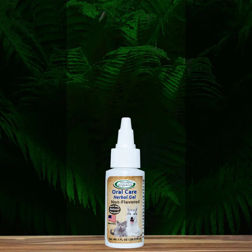A bottle of Mad About Organics Herbal Gel for Pet Oral Care, a natural no-brush formula, rests on a wooden surface with dark green ferns in the background. The label features a small white dog.