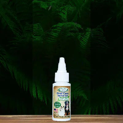 A bottle of Mad About Organics Herbal Gel for Pet Oral Care stands on a wooden surface with leafy green ferns behind it. The label shows a dog, notes a no-brush formula, and highlights it’s made in the USA.