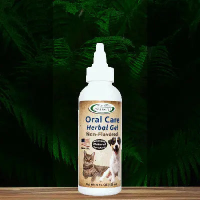 A bottle of Mad About Organics Herbal Gel for Pet Oral Care, featuring a cat and dog on the label, sits on a wooden surface with dark green leaves in the background. This no-brush formula is made with natural ingredients for pets.