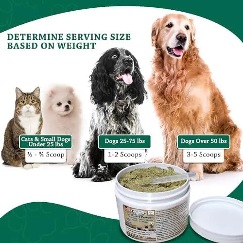 A cat, small, medium, and large dog sit beside Mad About Organics Oral Care Powder for Pets. Text explains serving sizes: under 25 lbs (½–¾ scoop), 25–75 lbs (1–2 scoops), over 50 lbs (3–5 scoops) for natural pet dental health.