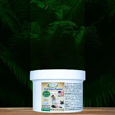 A white container of Mad About Organics Oral Care Powder for Pets by Mad About Organics rests on a wooden surface with green ferns in the background. The label features a dog and cat, emphasizing natural ingredients and pet dental care made in the USA.