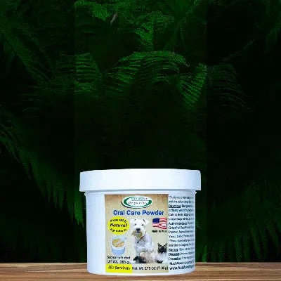 A white container of Mad About Organics Oral Care Powder for Pets sits on a wooden surface with a green leafy background. The label shows a dog, American flags, and highlights fresh breath and effective dental care for pets.