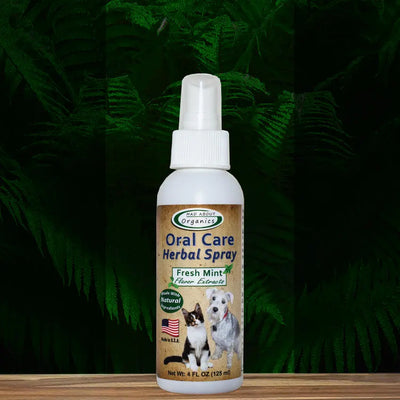 A bottle of Mad About Organics Oral Care Spray - Fresh Mint Formula by Mad About Organics, featuring cat and dog images on the label, is shown against a background of dark green leafy ferns.