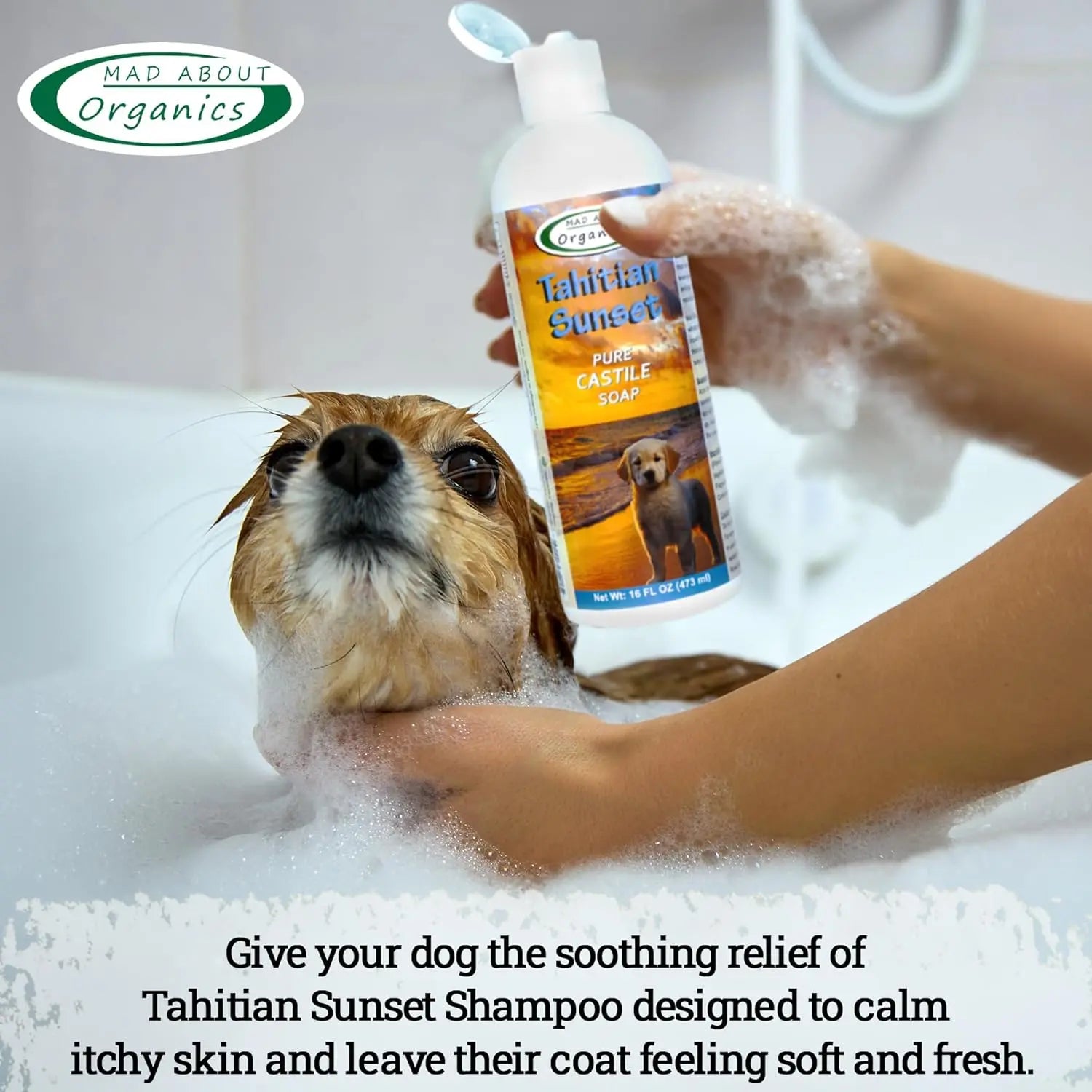 A dog covered in suds is bathed while a person holds Mad About Organics Tahitian Sunset Dog Shampoo 16oz, highlighting its organic ingredients and soothing relief for your pup’s itchy skin.