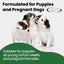 Three fluffy puppies stand on a white background. Text: Mad About Organics Warm Vanilla Dog Shampoo 16oz—formulated with organic ingredients for sensitive puppies (4+ weeks) and pregnant dogs. Mad About Organics logo appears top right.