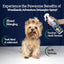 A small, long-haired dog sits as a hand sprays Mad About Organics Detangler Spray – Knot-Free Coats Made Easy 8oz. Text highlights: efficient detangling, cedarwood scent, gentle, all-natural formula; free from harsh chemicals. Blue background.