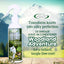 A bottle of Mad About Organics Detangler Spray – Knot-Free Coats Made Easy 8oz is shown by a white dog in a forest, highlighting its cedarwood scent and all-natural formula for silky, tangle-free pet coats.