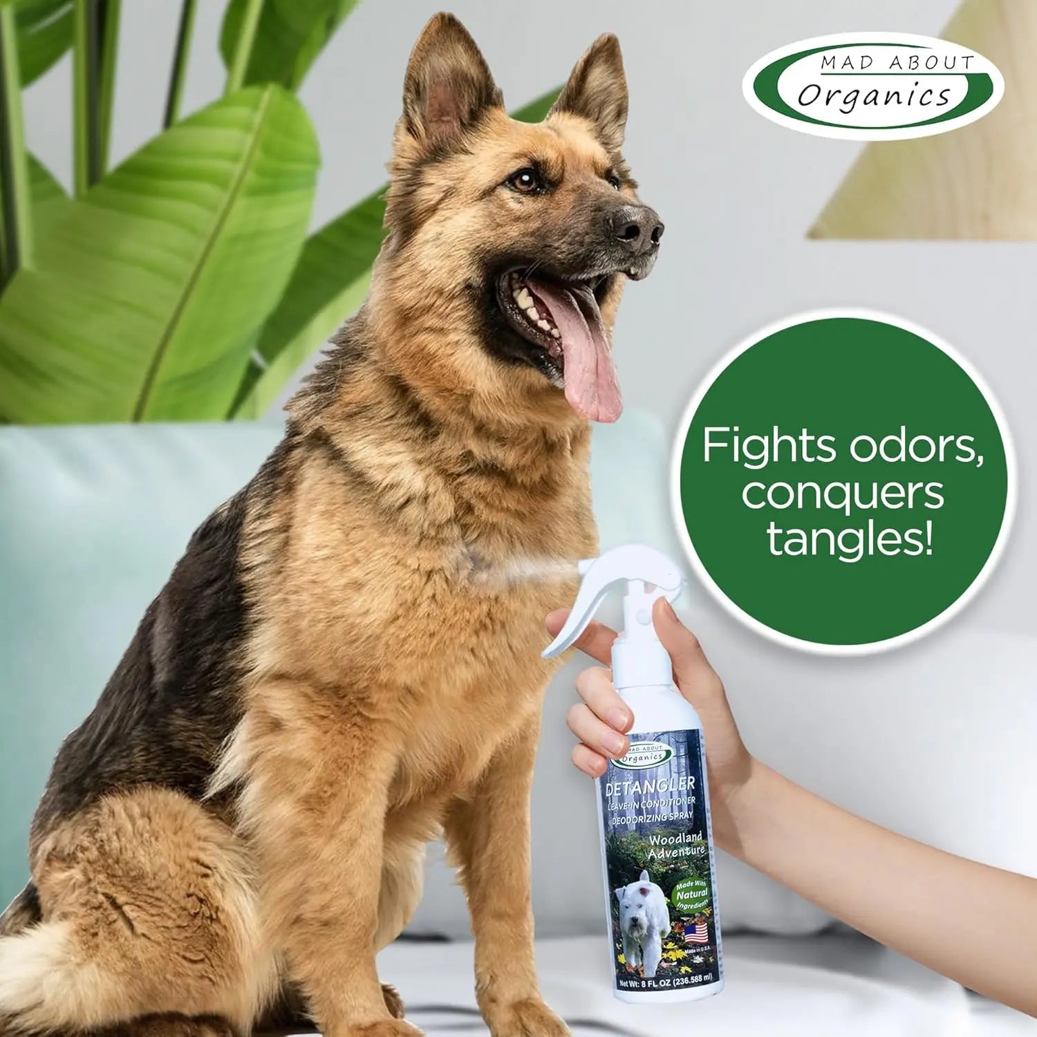 A happy German Shepherd sits on a bed while a hand sprays Mad About Organics Detangler Spray - Knot-Free Coats Made Easy 8oz. Text reads, Fights odors, conquers tangles! with the Mad About Organics logo in the top right corner.