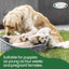 A mother dog cuddles her puppies in a basket on grass. Text overlay: Safe for puppies 4 weeks+ and pregnant females. Mad About Organics Detangler Spray—knot-free, gentle cedarwood scent, all-natural care. Brand logo in corner.