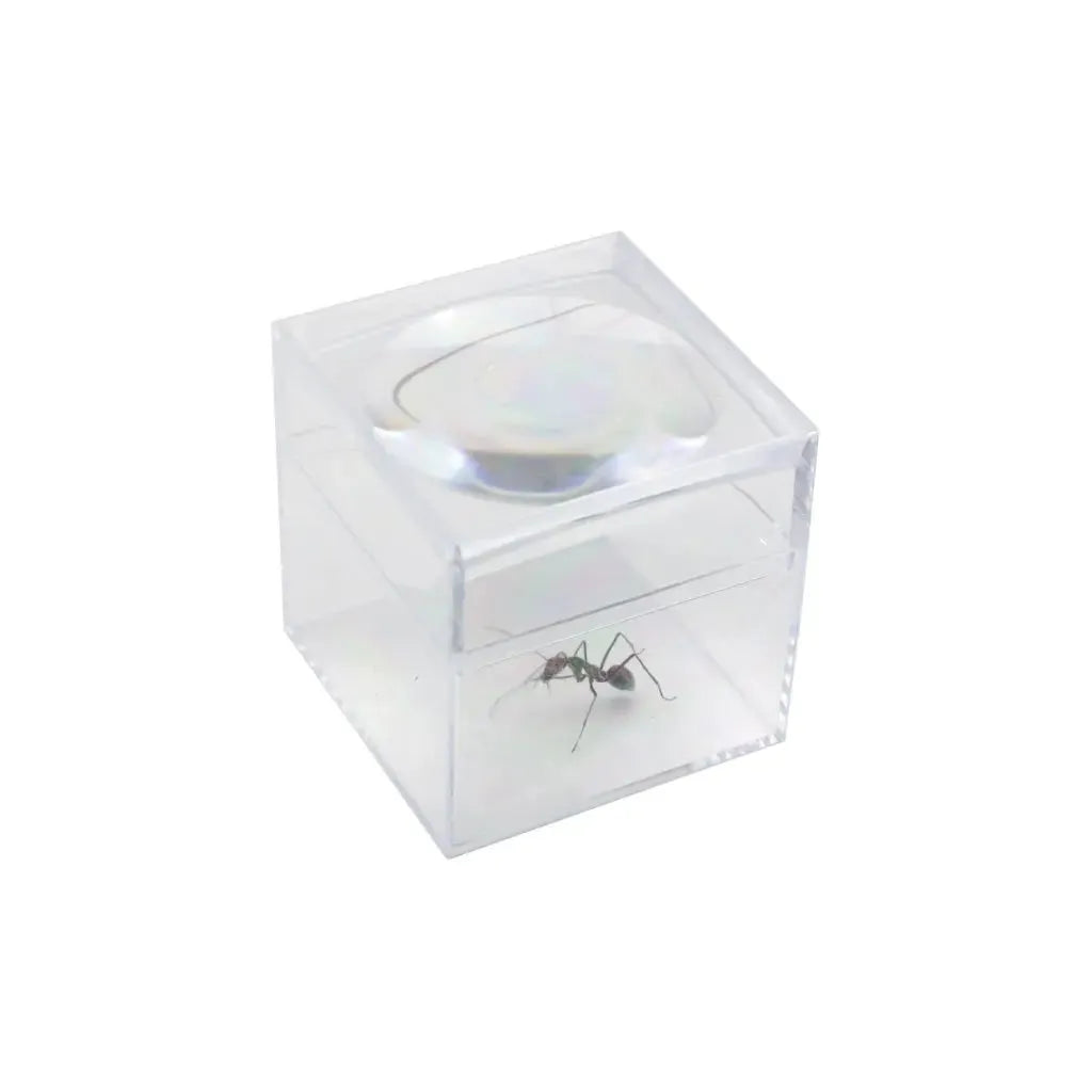 Magnifier box – 3x – 30mm Antcube