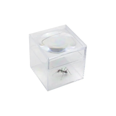 Magnifier box – 3x – 30mm Antcube