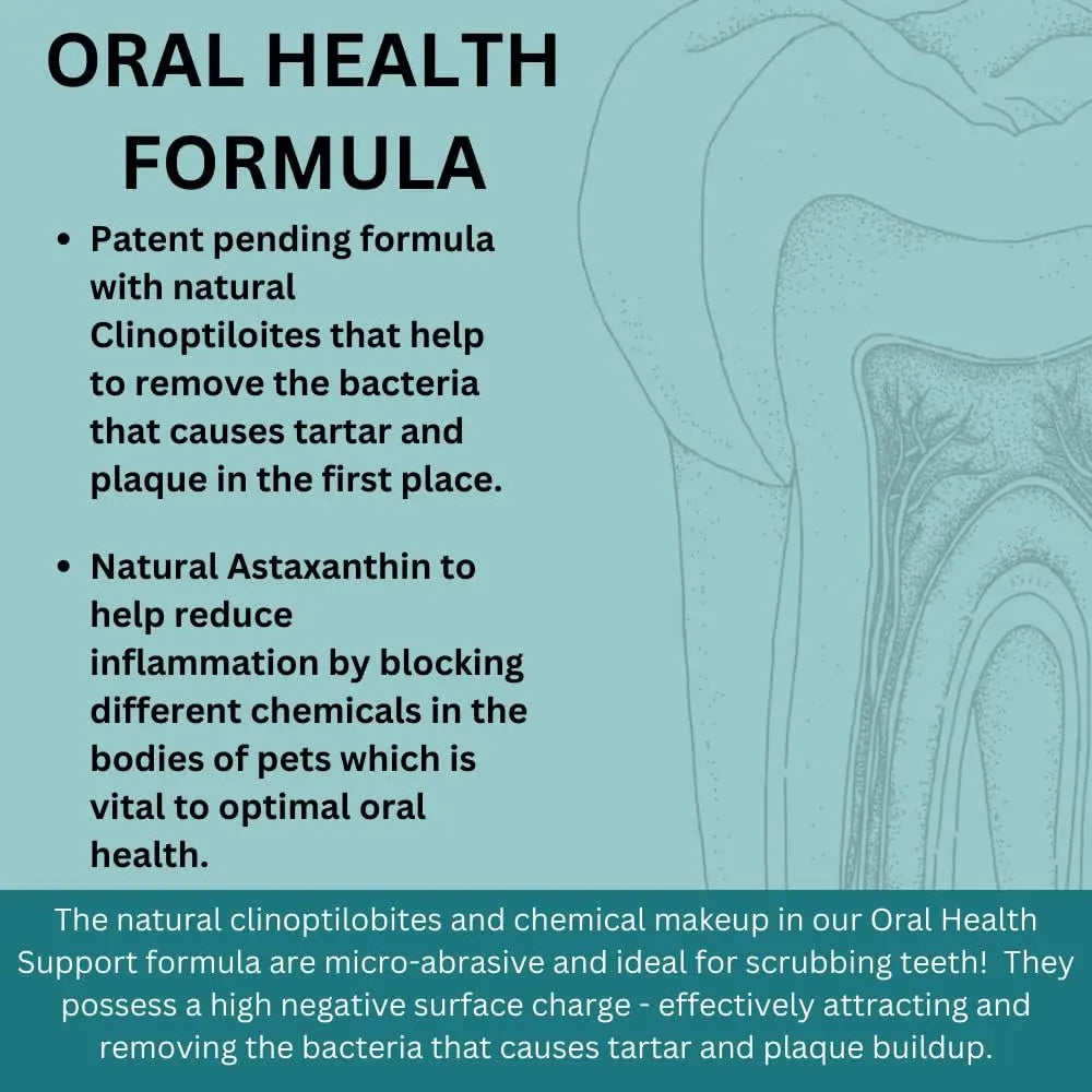 Informational graphic for MicrocynAH MICRO Cat Oral Health Soft Chews 120g: showcases clinoptilolites for reducing bacteria and plaque, and astaxanthin for inflammation. Features a tooth illustration, descriptive text, and how the chews help freshen breath.