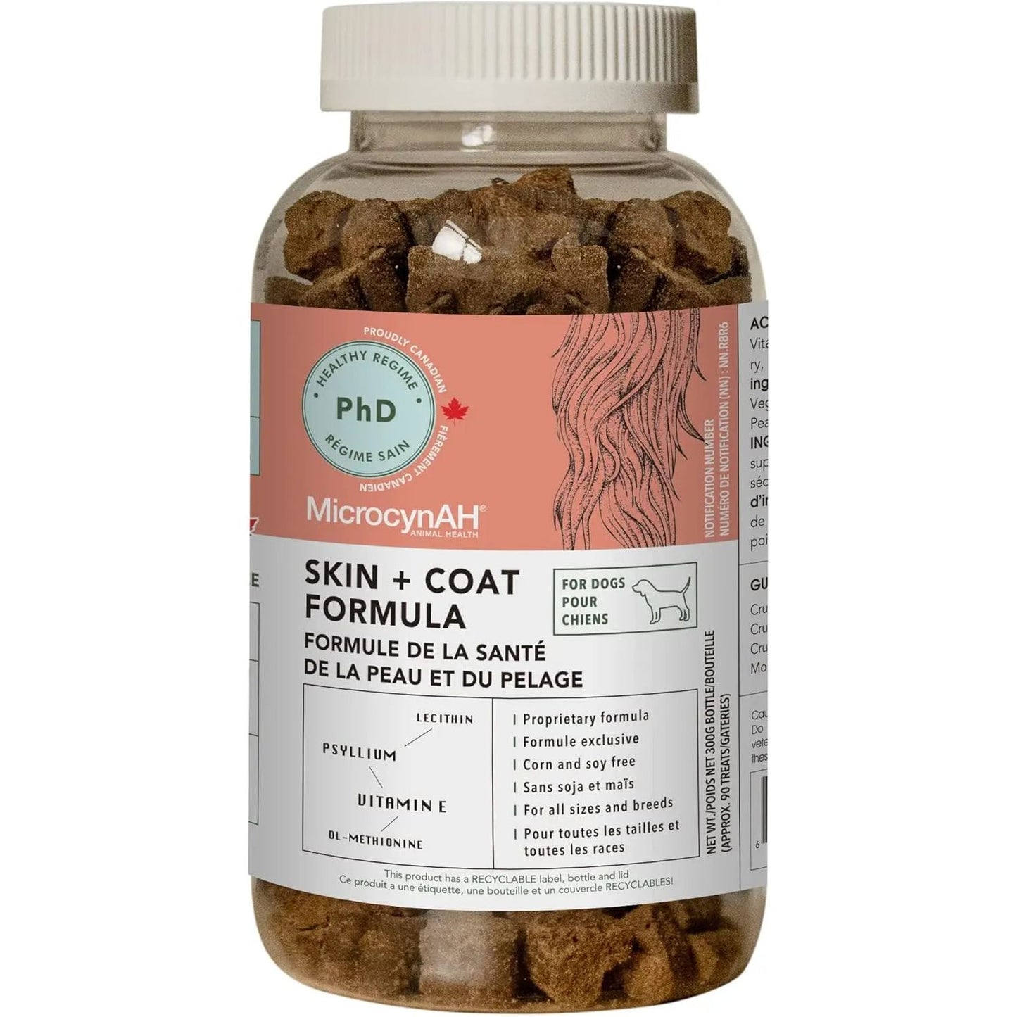 A 300g jar of MicrocynAH MICRO Skin & Coat Soft Chews for Dogs with a white and orange label in English and French, featuring brown chews suitable for all dog sizes and breeds to support skin and coat health.