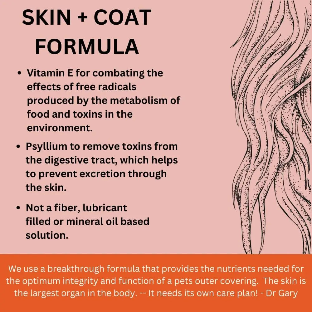 An infographic titled SKIN + COAT FORMULA highlights benefits of MicrocynAH MICRO Skin & Coat Soft Chews for Dogs 300g, featuring ingredients like Vitamin E and psyllium, with partial fur illustration on a peach background.