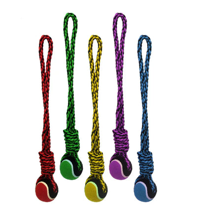 Multipet Nuts for Knots 20in Rope Tug Dog Toy With Tennis Ball 20 in Multipet