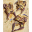 Naked Beasts Bone-in Whole Quails Exotic Protein Dog Treats Naked Beasts