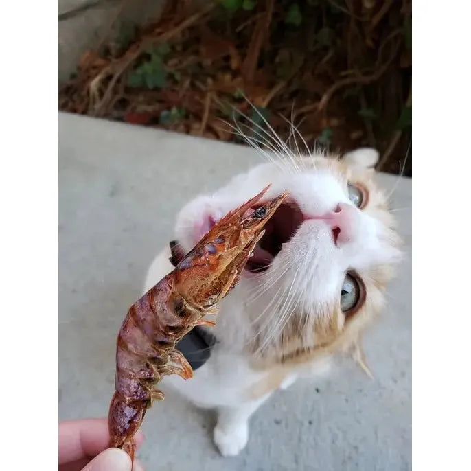 Naked Beasts Shrimp Head On All Natural Dog Treats Naked Beasts