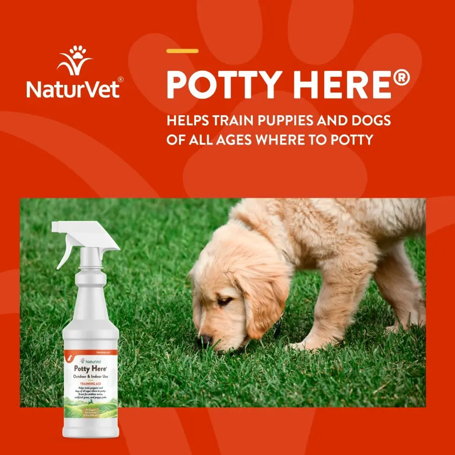 NaturVet Potty Here Training Aid Spray Naturvet®