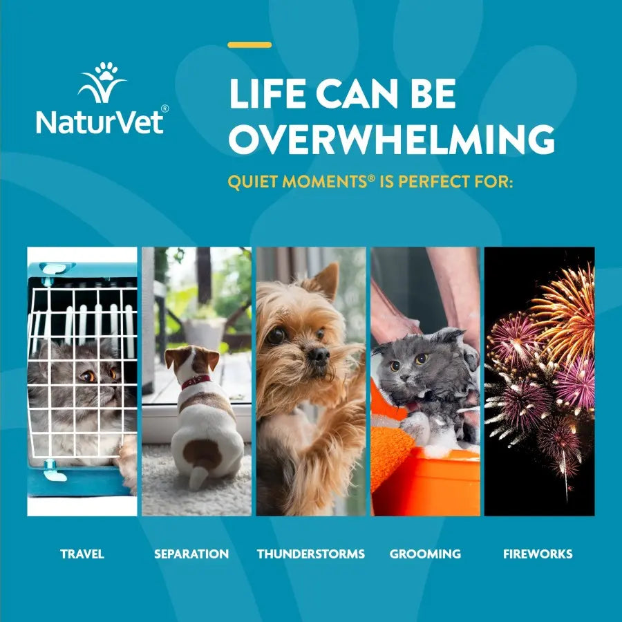 NaturVet Quiet Moments Calming Drops for Dogs & Cats 2 oz Naturvet®