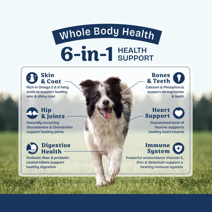 Natural Balance Health Protection Adult Lamb, Rice & Pumpkin Dry Dog Food Natural Balance