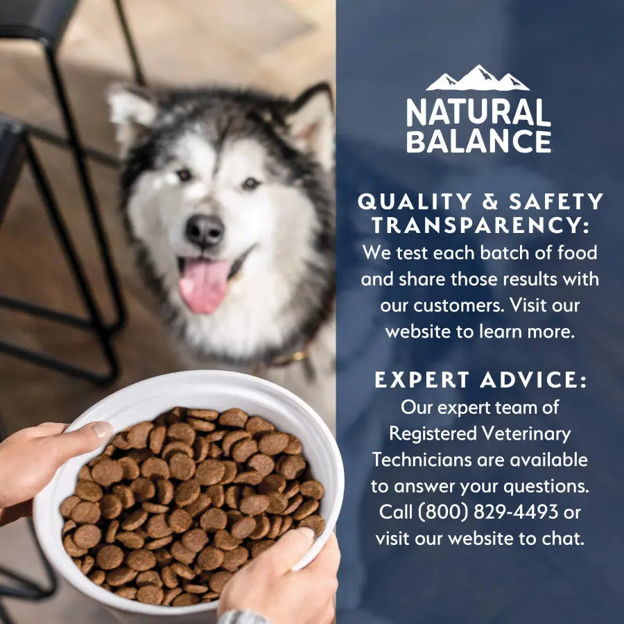 Natural Balance Health Protection Adult Lamb, Rice & Pumpkin Dry Dog Food Natural Balance