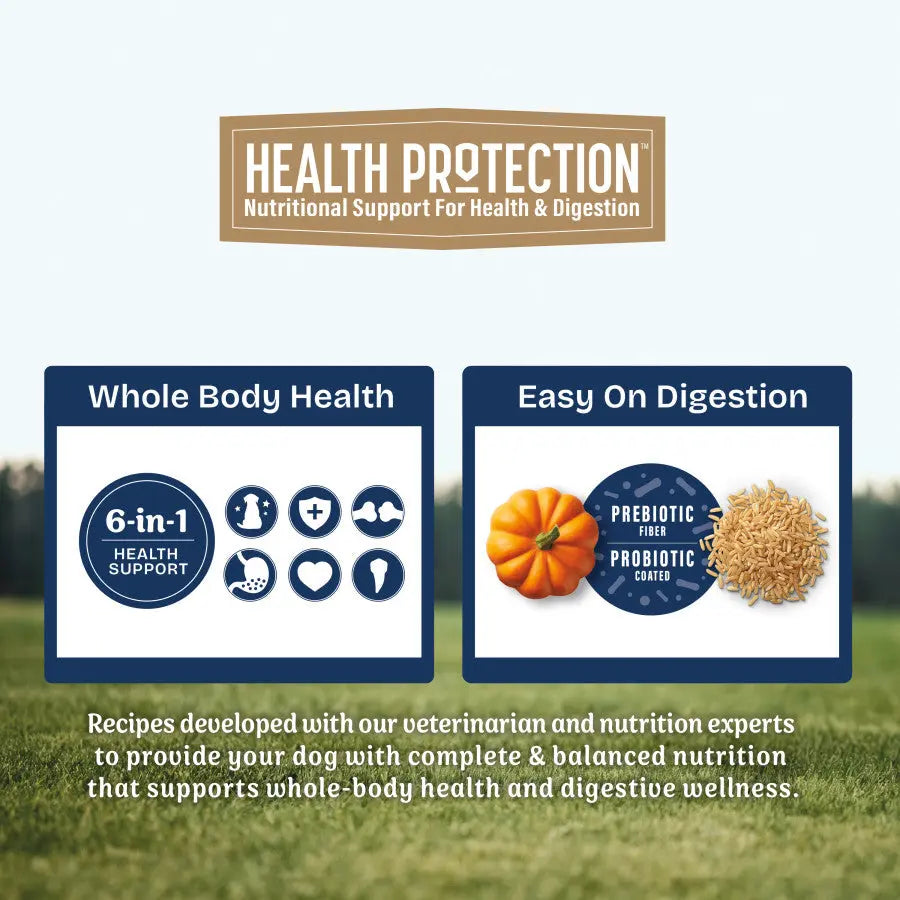 Natural Balance Health Protection Adult Lamb, Rice & Pumpkin Dry Dog Food Natural Balance