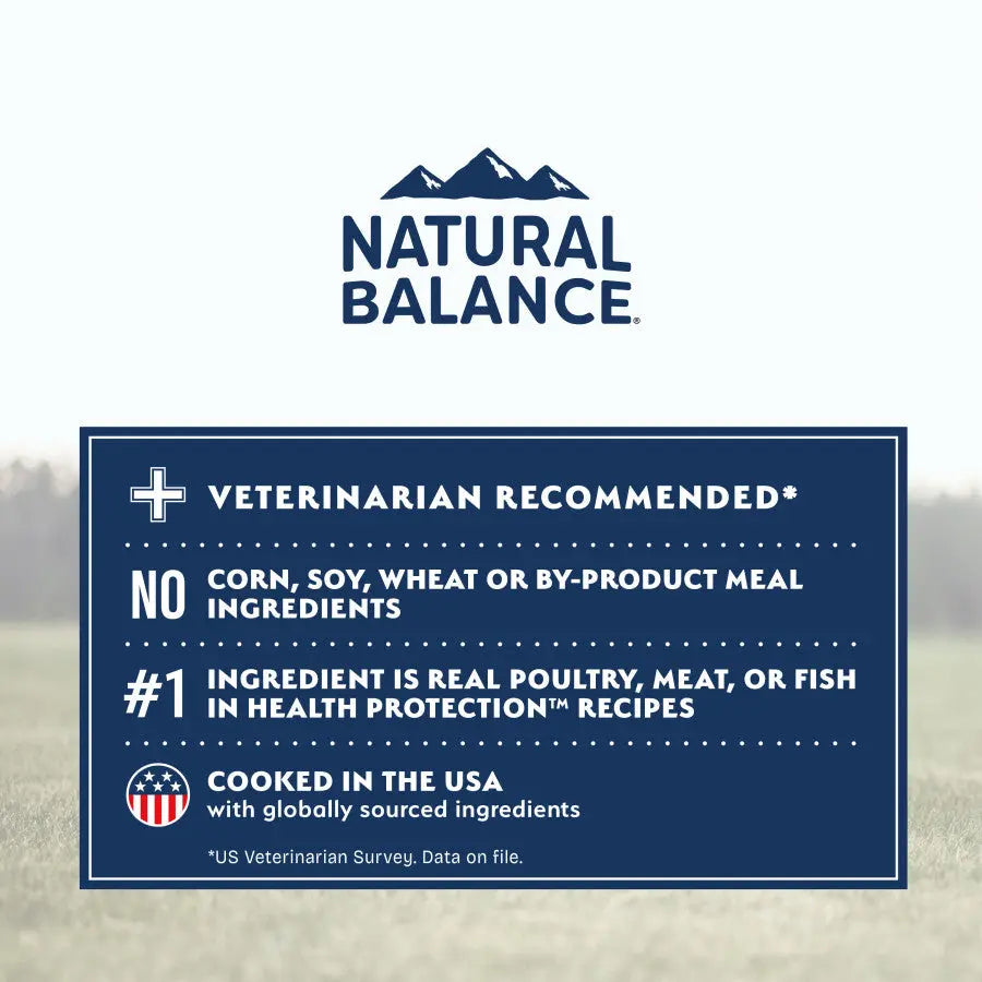 Natural Balance Health Protection Adult Salmon, Brown Rice & Pumpkin Dry Dog Food Natural Balance