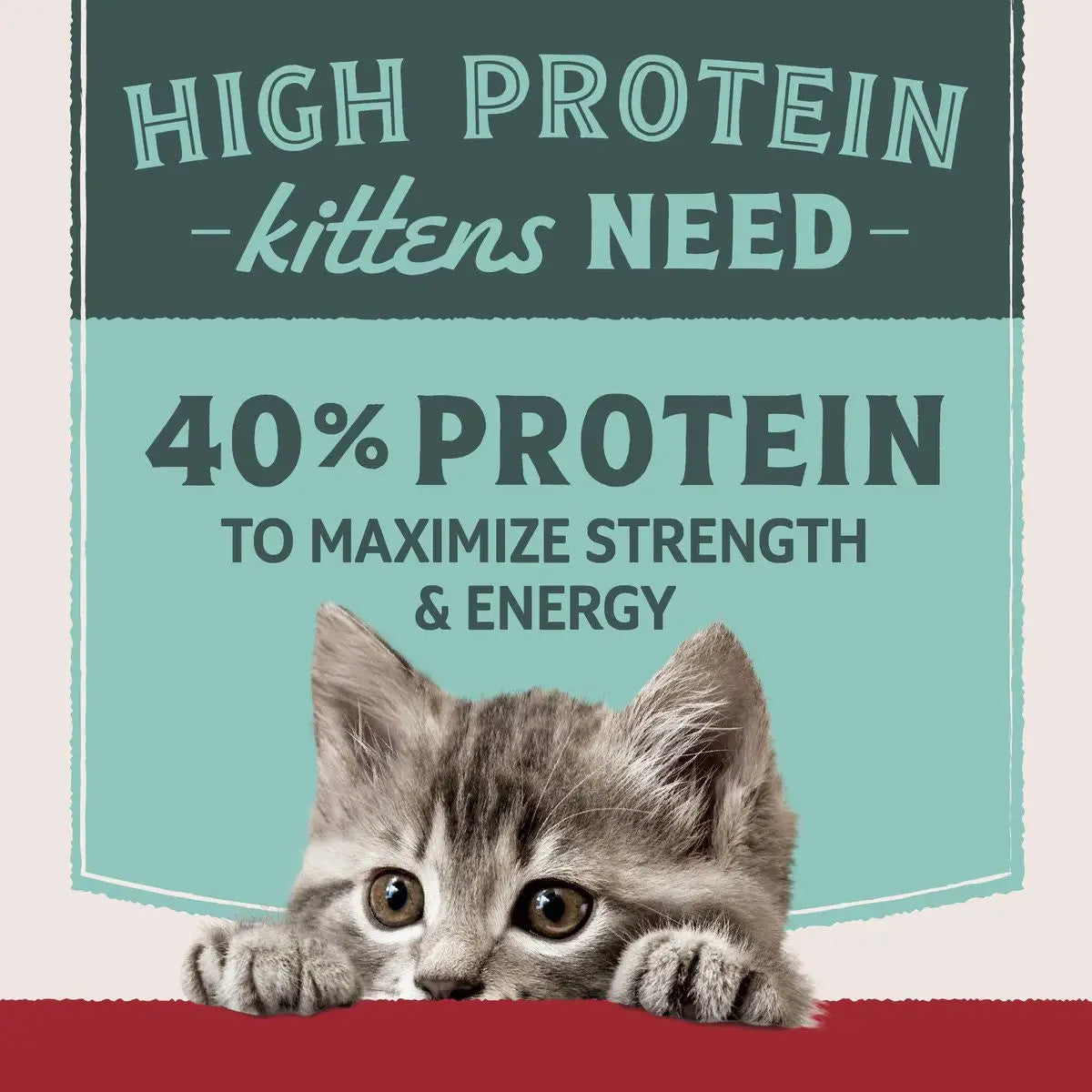 Natural Balance Ultra Protein Chicken Meal Recipe Dry Cat Food Natural Balance