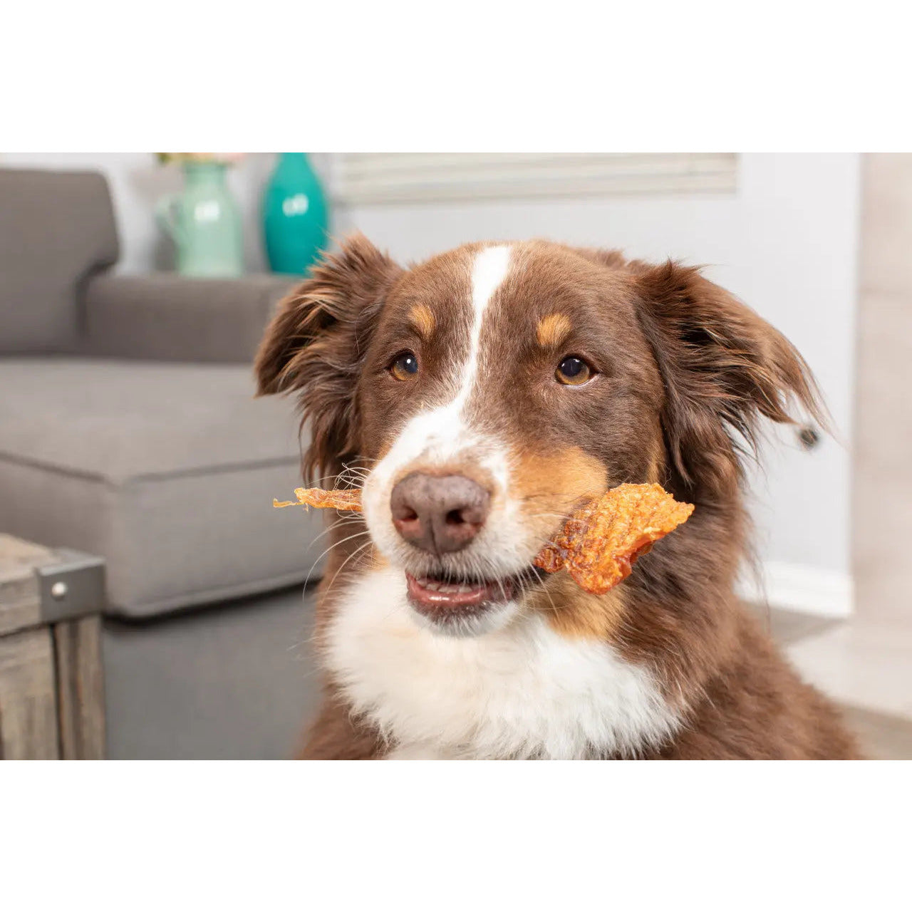 Natural Cravings Chicken Breast Strips Dog Chews 10 oz Barking Buddha