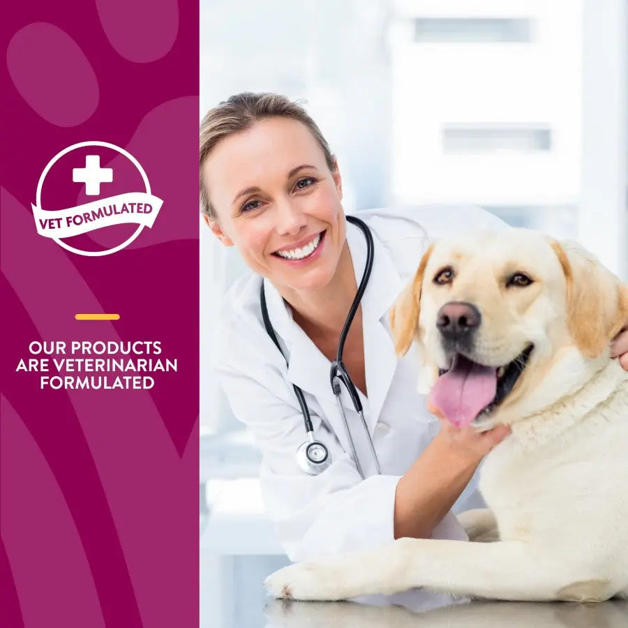 Naturvet® Glucosamine DS™ Level 1 Maintenance Care Dog Chewable Tablet 60 Count Naturvet®