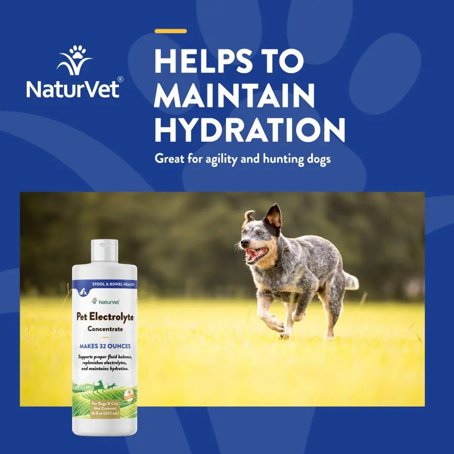 Naturvet® Pet Electrolyte Concentrate Liquid Formula for Dogs & Cats 16 Oz Naturvet®