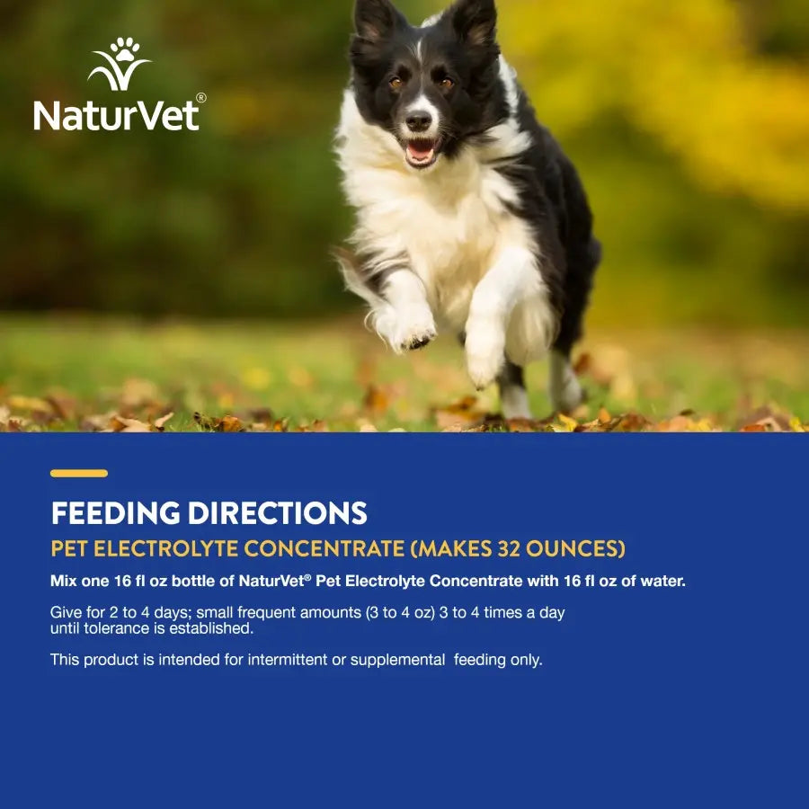 Naturvet® Pet Electrolyte Concentrate Liquid Formula for Dogs & Cats 16 Oz Naturvet®