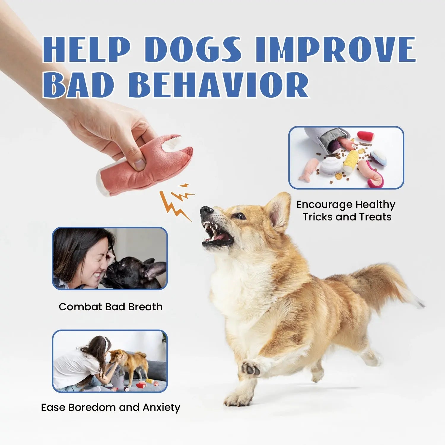 A small dog leaps toward a hand holding the Nocciola 10-Piece Seafood Boil Dog Toy Set. Text: “Help Dogs Improve Bad Behavior.” Insets highlight benefits: freshens breath, eases anxiety and boredom, and encourages healthy play.
