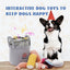 A happy dog in a red party hat sits beside a gray bin filled with colorful toys. Above, confetti and the text: Interactive Dog Toys, like our Nocciola 10-Piece Seafood Boil Dog Toy Set, to Keep Dogs Happy appear.