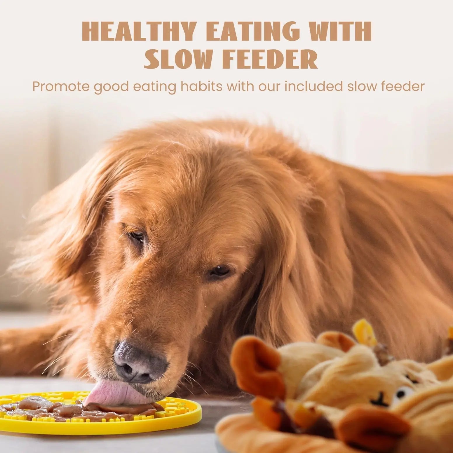 Nocciola 6-in-1 Bear Squeaky Dog Toys for Training & Anxiety Relief Nocciola