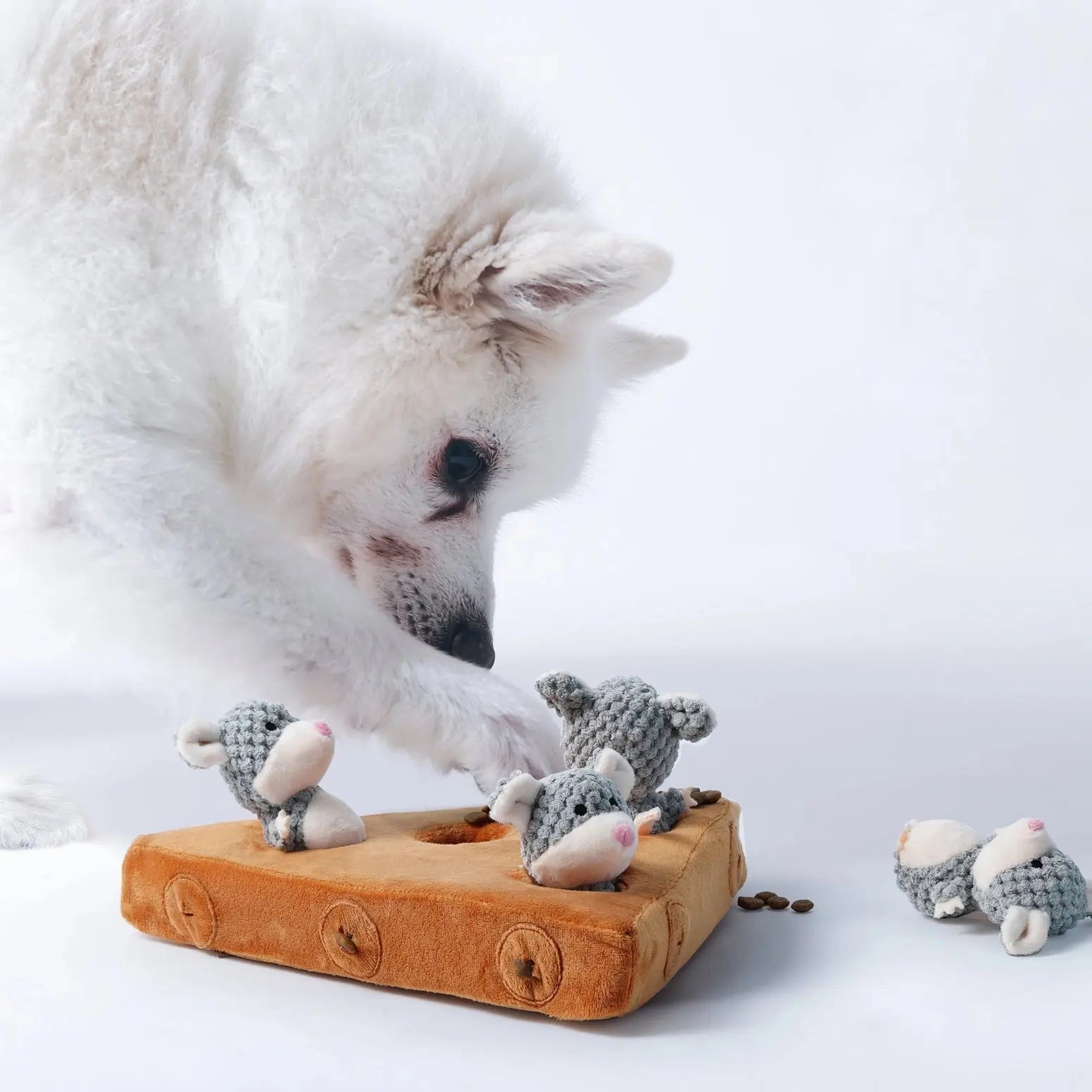 Nocciola Enrichment Toys for Dogs - Squeaky Mouse & Treat Hiding Pockets Nocciola