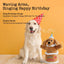 Nocciola Fuzzwoof Singing and Dancing Birthday Cake Dog Toy Nocciola