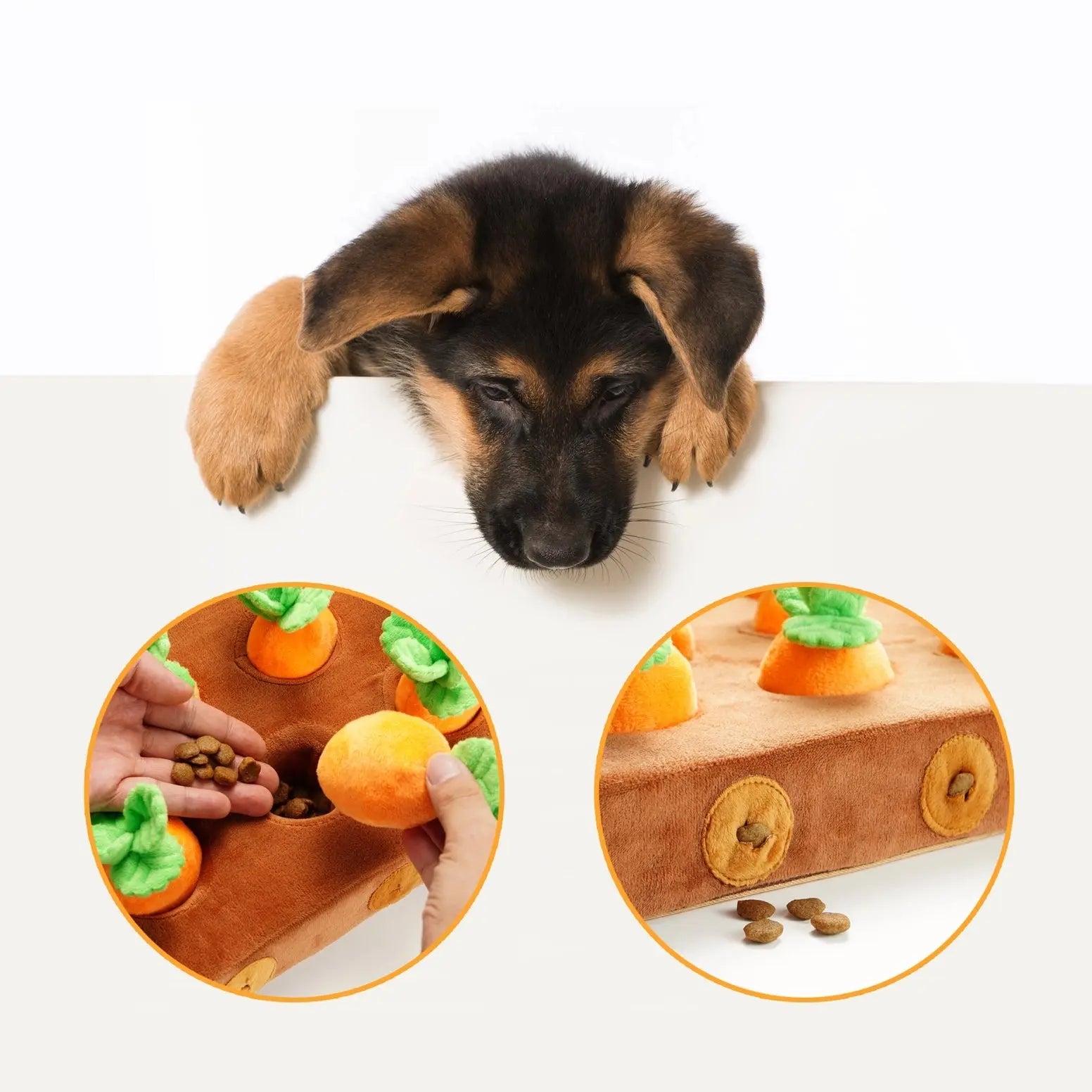 A puppy looks over a white surface. Below, hands place treats under plush carrots in the Nocciola Hide & Chew Carrot Enrichment Toy by Nocciola, with scattered kibble showing it as an engaging puzzle feeder for dogs.