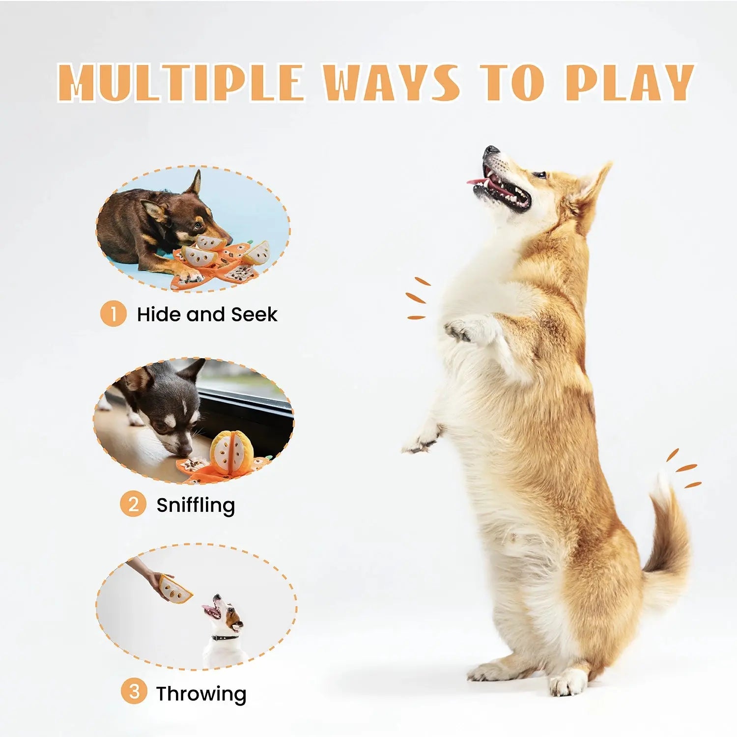 Nocciola Interactive Tangerine Plush Dog Toys with Hidden Surprises Nocciola
