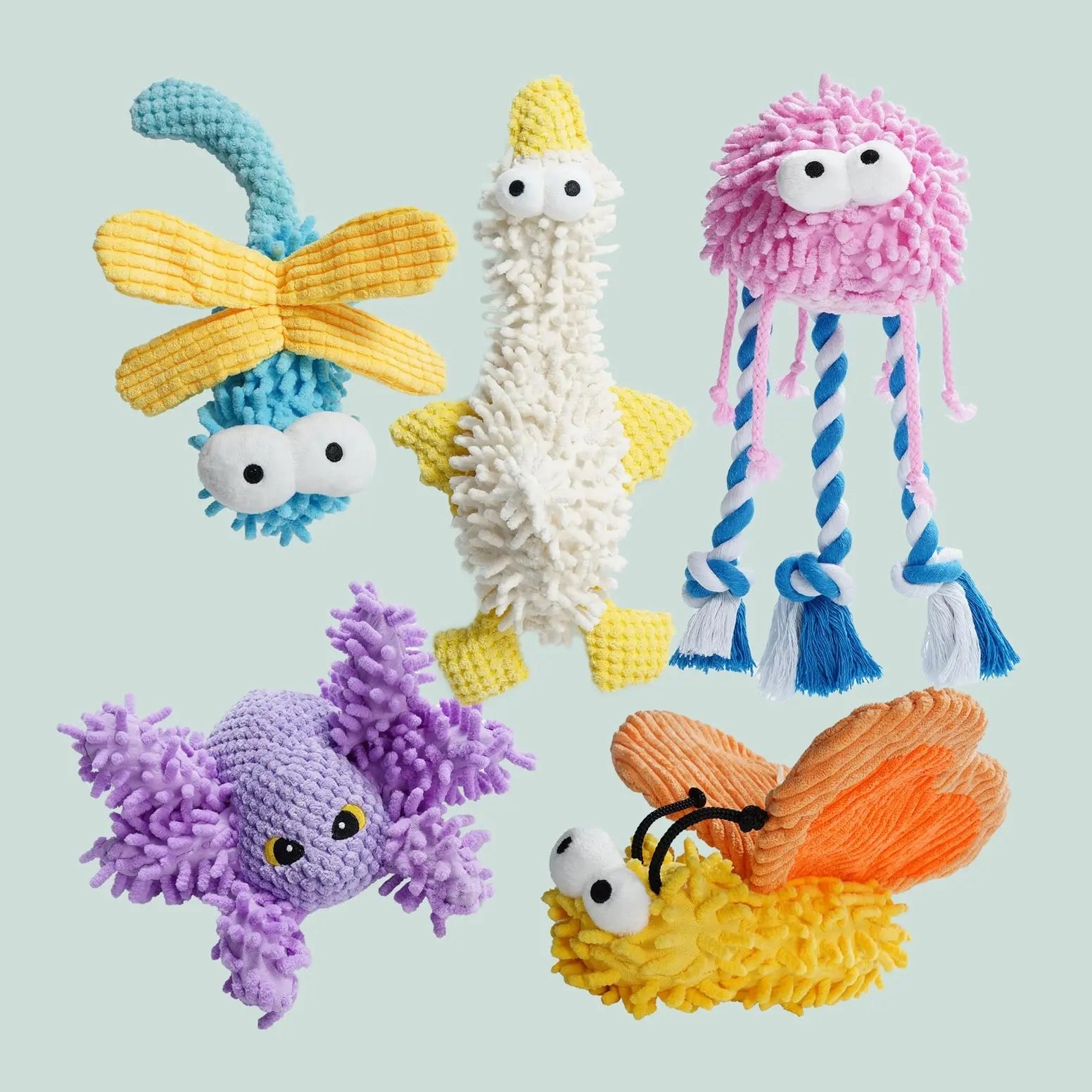 Nocciola Plush Chenille Squeaky Dog Toys - 5 Pack for Durable Fun Nocciola