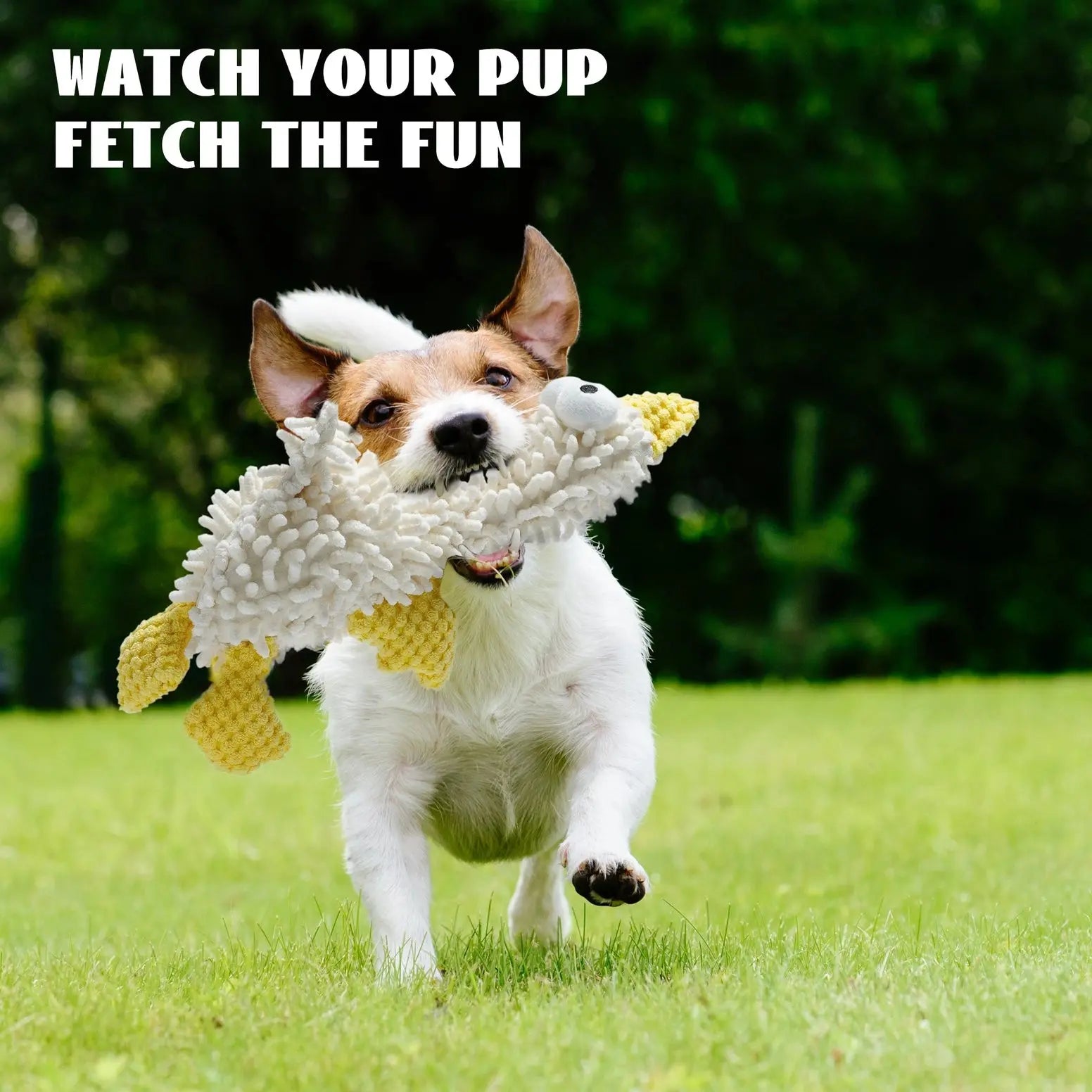 Nocciola Plush Chenille Squeaky Dog Toys - 5 Pack for Durable Fun Nocciola