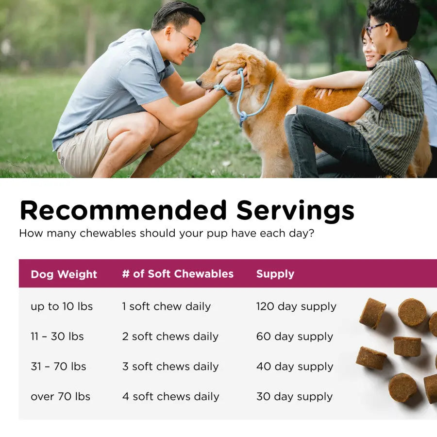 Nutri-Vet Pre and Probiotics Soft Chews for Dogs 120 ct Nutri-Vet