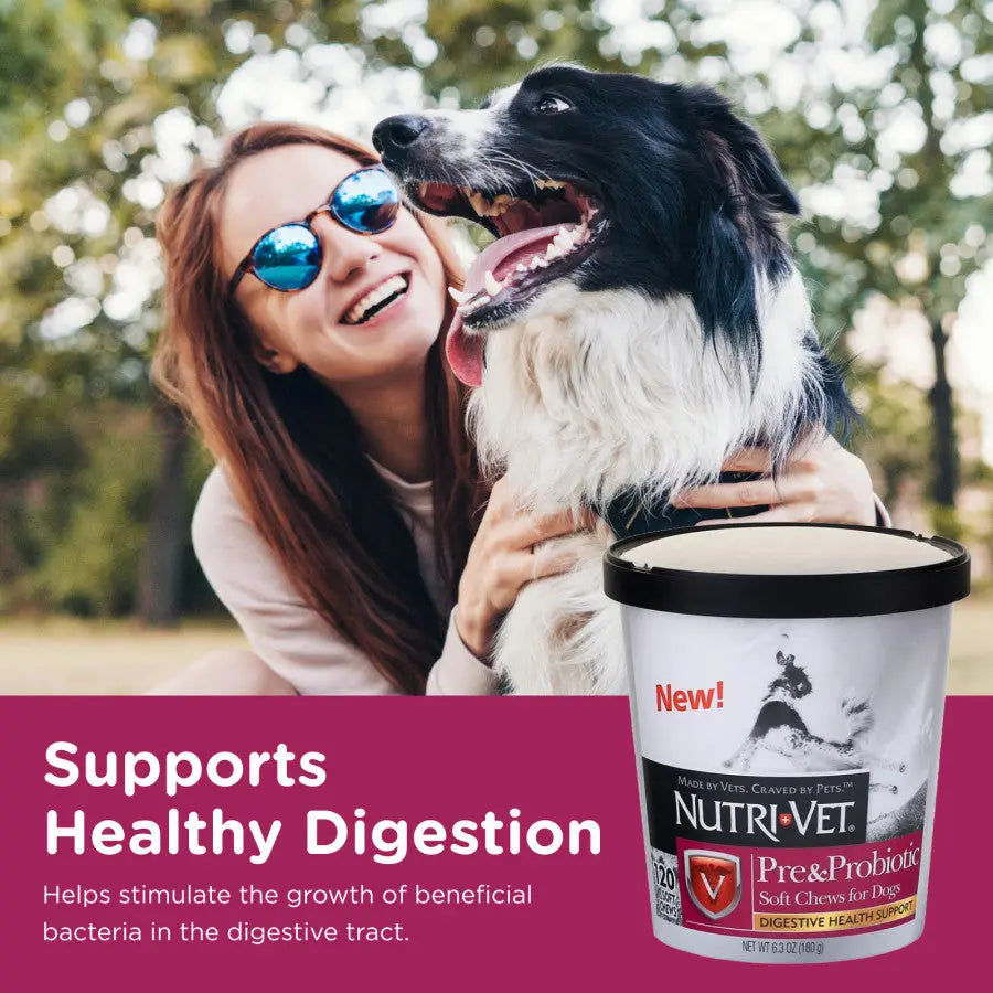 Nutri-Vet Pre and Probiotics Soft Chews for Dogs 120 ct Nutri-Vet