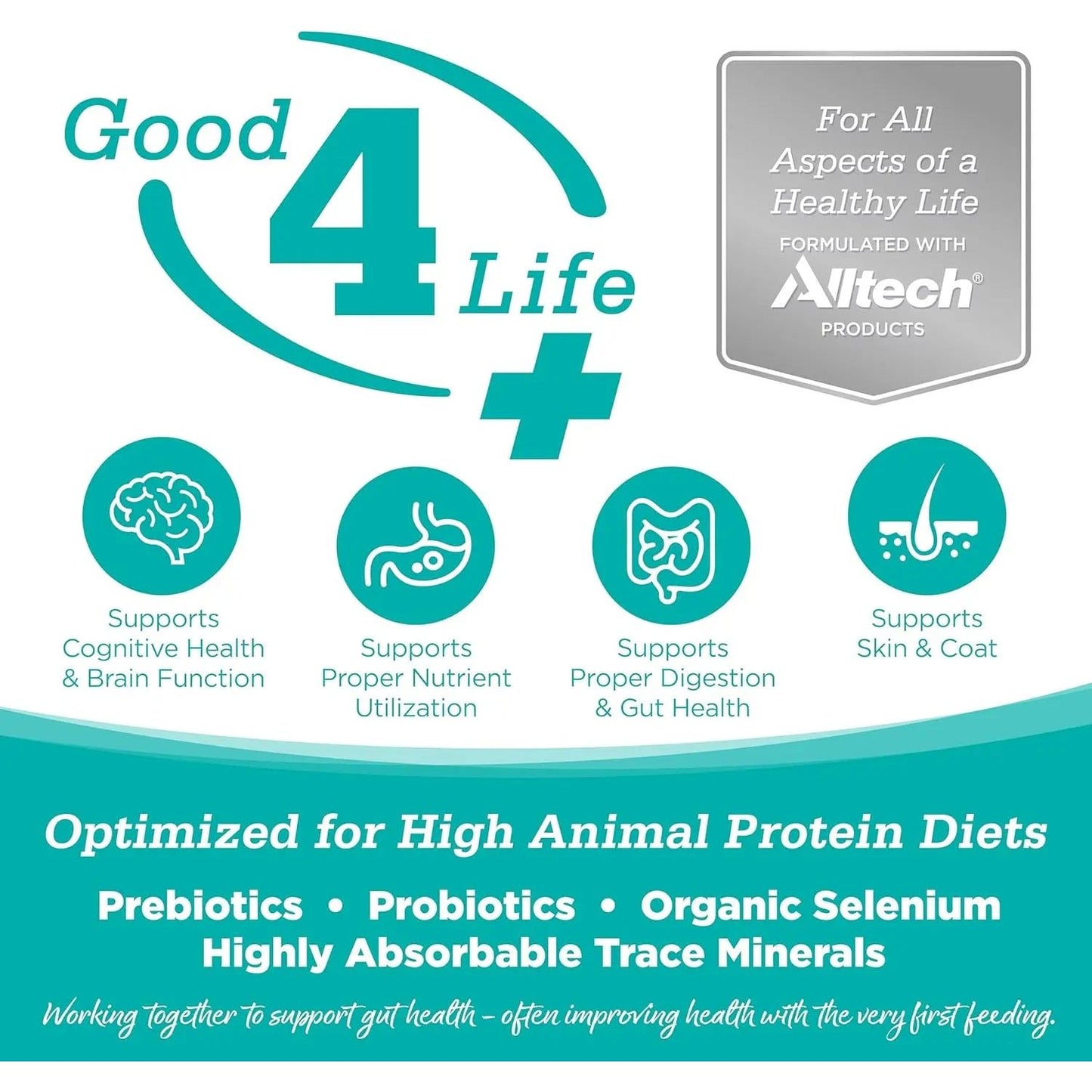 Infographic for NutriSource Element Series Classic Catch Grain Free Dry Cat Food highlights support for cognitive health, nutrient utilization, digestion, and skin/coat with premium proteins, prebiotics, probiotics, selenium, and trace minerals.