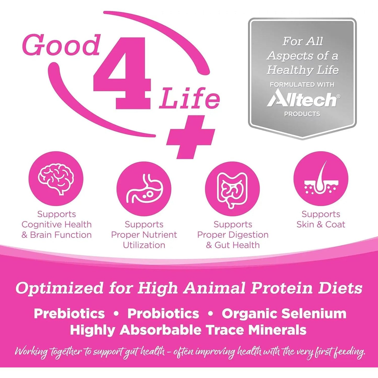 Promotional graphic for NutriSource Element Series Scenic Meadow Grain Free Dry Cat Food, highlighting gut health focus with prebiotics, probiotics, and minerals to support cognition, digestion, skin/coat, and nutrient utilization.