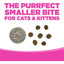 A U.S. dime sits beside seven small pieces of NutriSource Element Series Scenic Meadow Grain Free Dry Cat Food—THE PURRFECT SMALLER BITE FOR CATS & KITTENS in bold pink—ideal for gut health-focused, grain free cat food needs.