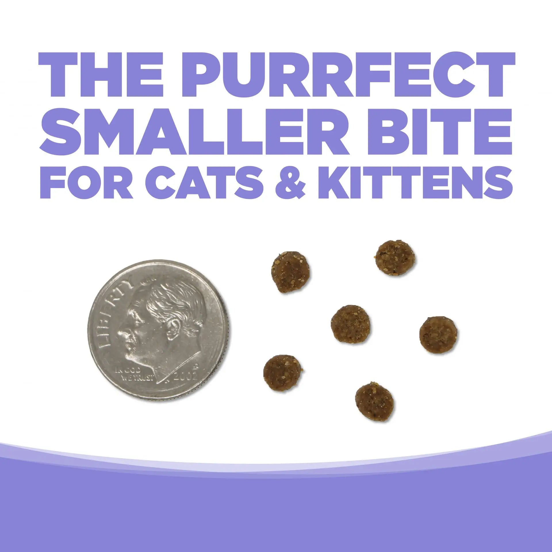A U.S. dime is shown beside five pieces of NutriSource Grain Free Chicken & Salmon Select Cat & Kitten Dry Cat Food kibble on a white background, with bold text above: THE PURRFECT SMALLER BITE FOR CATS & KITTENS.