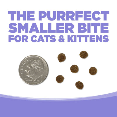 A U.S. dime is shown beside five pieces of NutriSource Grain Free Chicken & Salmon Select Cat & Kitten Dry Cat Food kibble on a white background, with bold text above: THE PURRFECT SMALLER BITE FOR CATS & KITTENS.